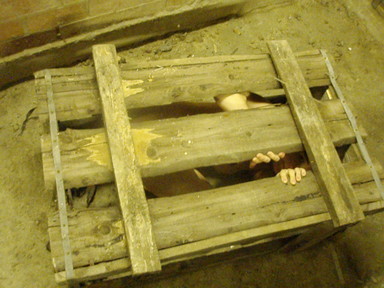 My kinky step-father