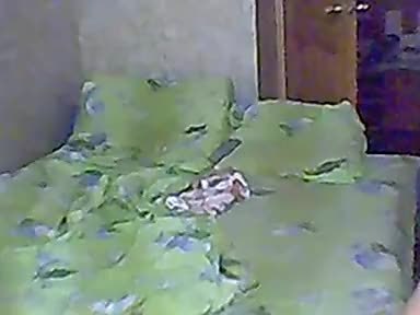 Mother and son on webcam