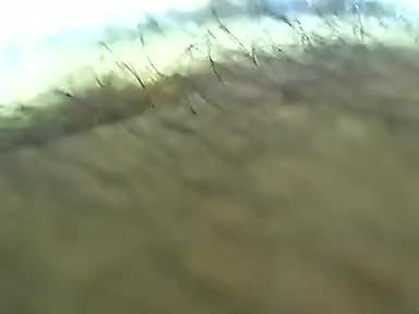 When I get home if dad's at home